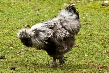 Schloß Thurn 22.5 (33 von 37).webp