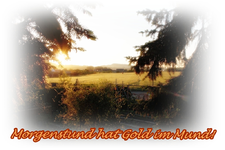 Guten Morgen.webp