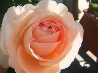 DSCF3055.webp