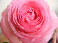 DSCF3061.webp