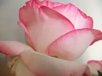DSCF3063.webp