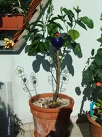 DSCF3051.webp