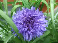 DSCF2989.webp