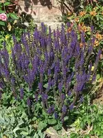 Bild 021.webp