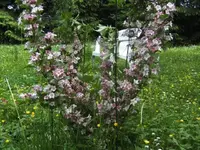 BILD0530.webp