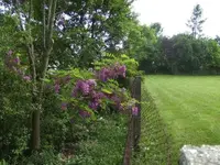 BILD0534.webp
