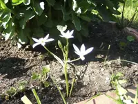 BILD0435.webp