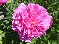 001.webp