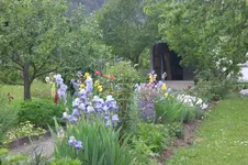 Garten Mai4 039.webp