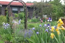 Garten Mai4 046.webp