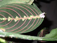 DSCF0406.webp