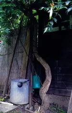 camp.radicans.schuppen.2009.webp