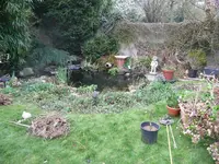 Teich (2).webp