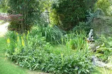 Teich (12).webp