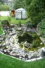 Teich (38).webp