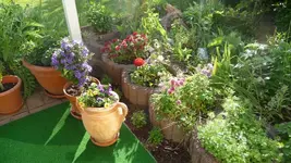 K800_unsere Terrasse 018.webp