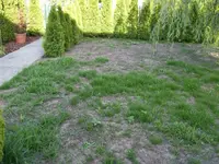 SDC10408.webp