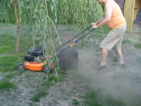 SDC10423.webp