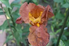DSC05219.webp