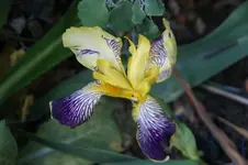DSC05207.webp