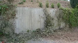 Chinese wall.webp