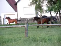 074.webp