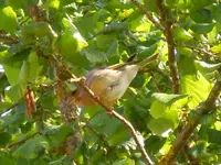 048.webp