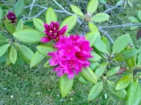 220520112816.webp