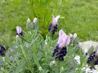 220520112830.webp