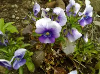 220520112829.webp
