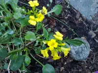 220520112833.webp