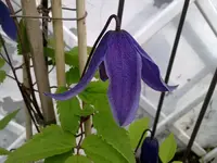 220520112835.webp