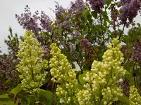 220520112837.webp