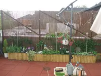 DSCF1320.webp