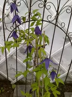 250520112853.webp