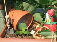 DSCF3033.webp