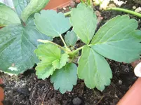 DSCF3064.webp