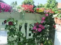 DSCF3066.webp