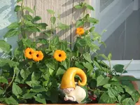 DSCF3030.webp