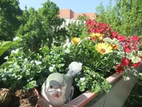 DSCF2806.webp