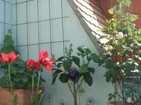 DSCF3043.webp