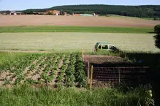 Kartoffelbeet.webp