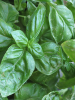 image004.webp