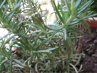 image002.webp
