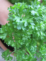 image001.webp