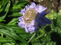 IMG_2873_1067x800.webp
