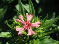 IMG_2874_1067x800.webp