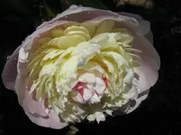 IMG_2877_1067x800.webp
