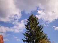 P2260537.webp