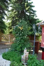 DSC_0014.webp